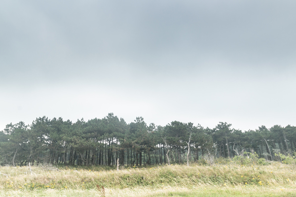 belgian coast